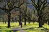 marche respiration yoga