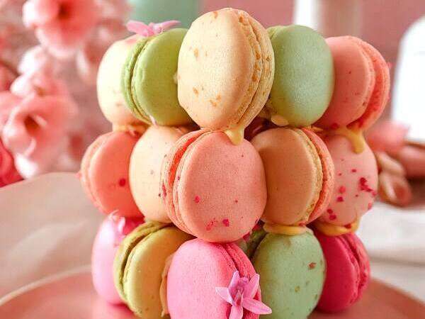 495323398_1230414065534869_2827330541415799433_n