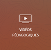 Vidéos pédagogiques