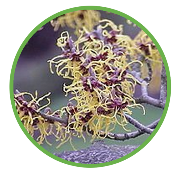 PORTES OUVERTES 2023 