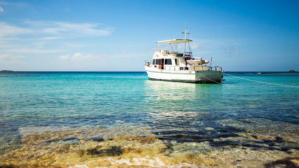 5 expériences incontournables à vivre à Cassis grâce à votre conciergerie