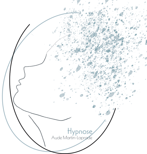 Logo Aude Martin-Laprade