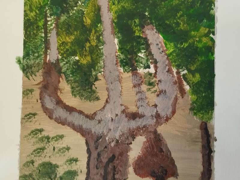 100001492520250602-3808049-kydi8