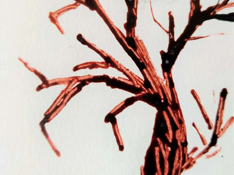 1626250029539__2_-adjust-contrast_ia8pmcad_1