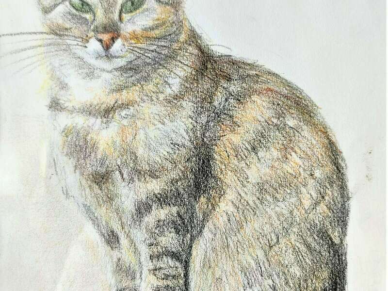 img_20210504_130939__2_-adjust-contrast_eb6psl6y_1