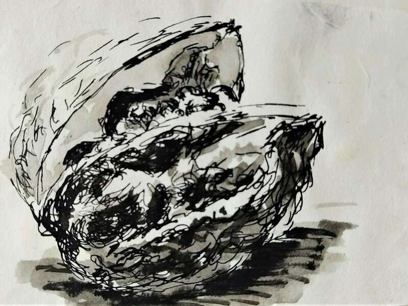 img_20210504_130142__2_-adjust-contrast_q8psds4y_1