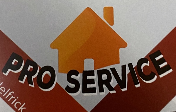 Logo Pro service