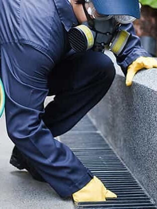 Prévention et lutte contre les nuisibles dans les locaux professionnels