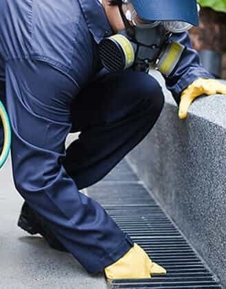 Thème de lutte contre les nuisibles dans les établissements éducatifs