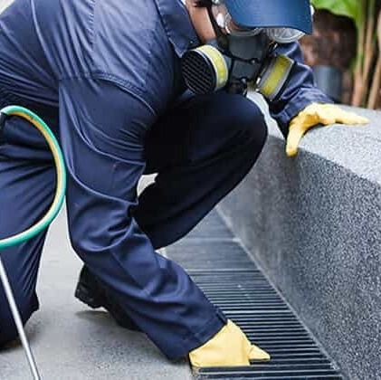 Thème : lutte anti-nuisibles aéroportuaires