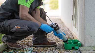 Dératisation Ile-de-France