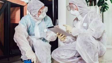 Désinsectisation Ile-de-France