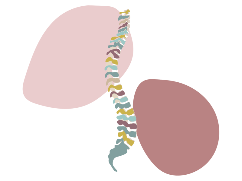 tableauxosteo-carre20