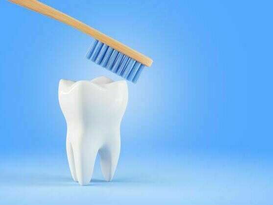 depositphotos_477973068_xl__1_