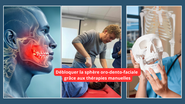 FORMATION OSTÉOPATHIE DANS LA SPHÈRE ORO DENTO FACIALE- OSTÉOPATHIE DENTAIRE  DIAGNOSTICS ET TRAITEMENTS OSTÉOPATHIQUES