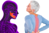 FORMATION BRUXISME OCCLUSION ET POSTURE