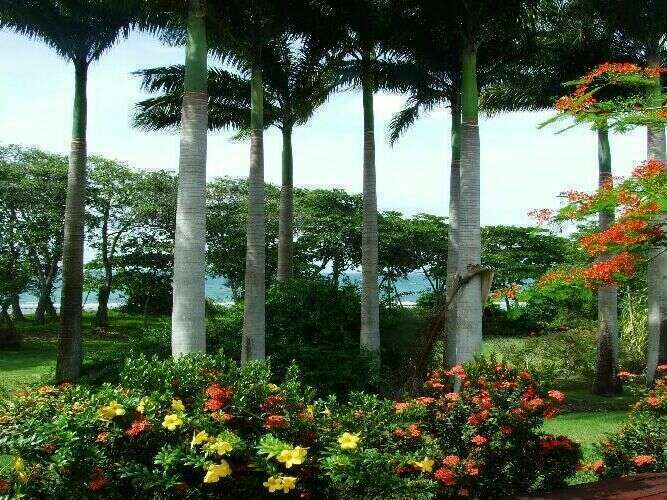 villa-courbet-vue-mer-anse-de-nogent