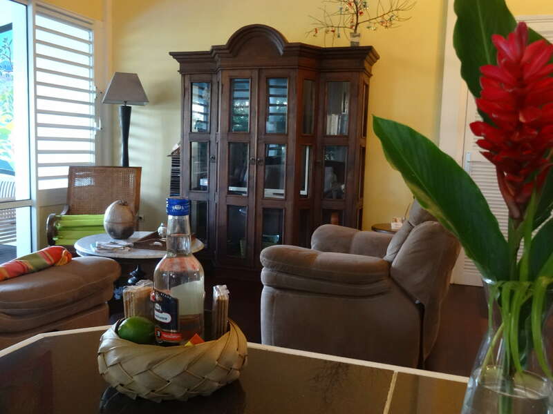 coin_sejour_villa_courbet