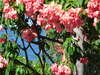 Bienvenue sur le site de HOLIDAYS GUADELOUPE