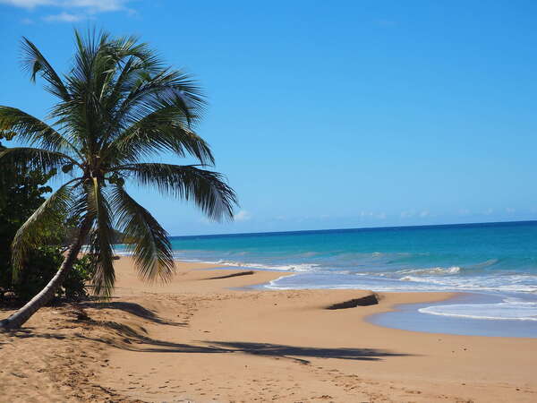 Guadeloupe début 2026 : Bain Démarré & Carnaval : dates, ambiance et conseils pour en profiter !