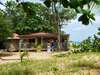 paysages paradisiaques de guadeloupe