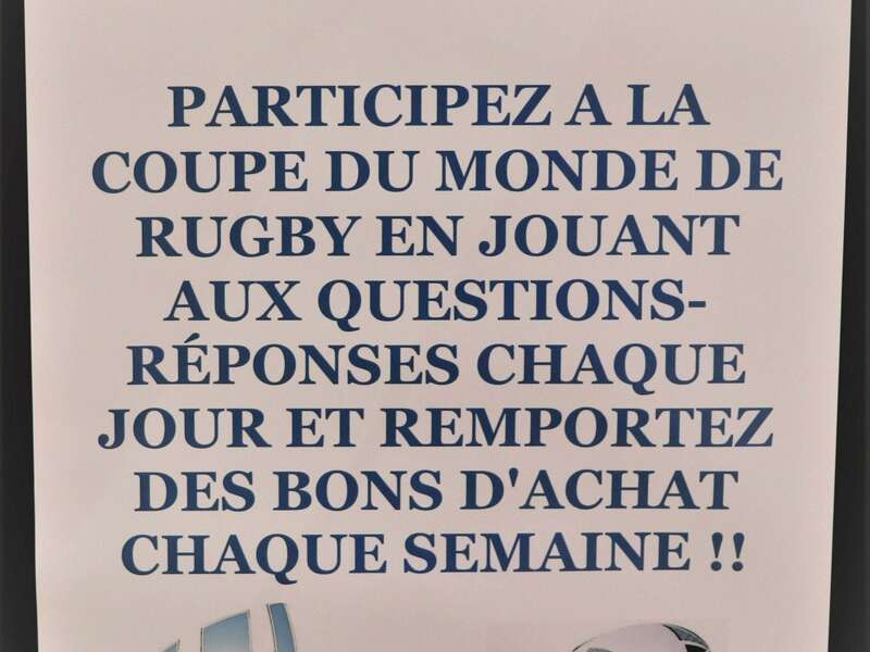 coupe_du_monde_de_rugby_2019_ardoise