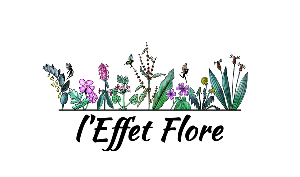 Logo l'Effet Flore