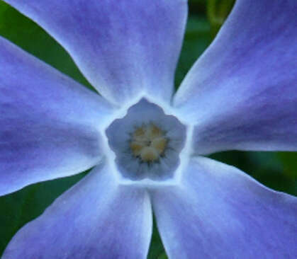 p1070773_rcdr_-_photo_irizoe