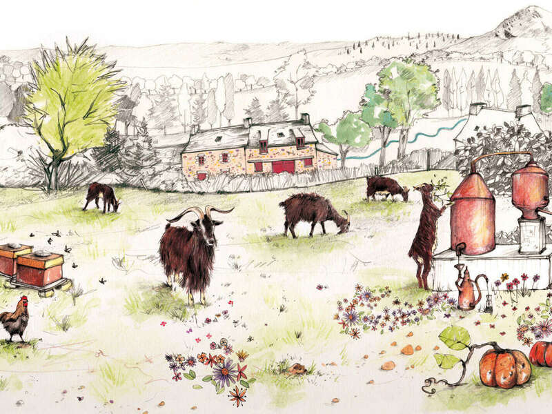 ti-mamm-douar-150dpi-2000px-opti-recadre