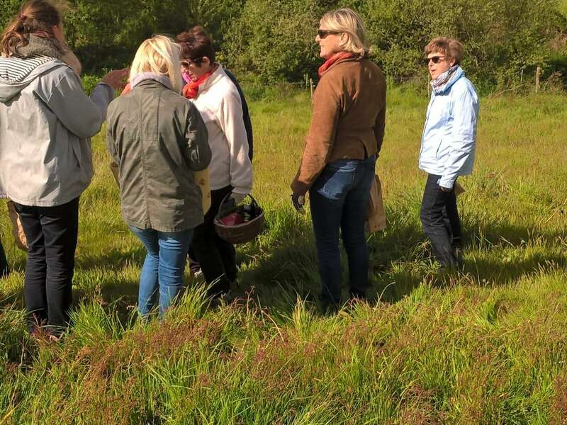 wp_20170429_11_06_34_pro