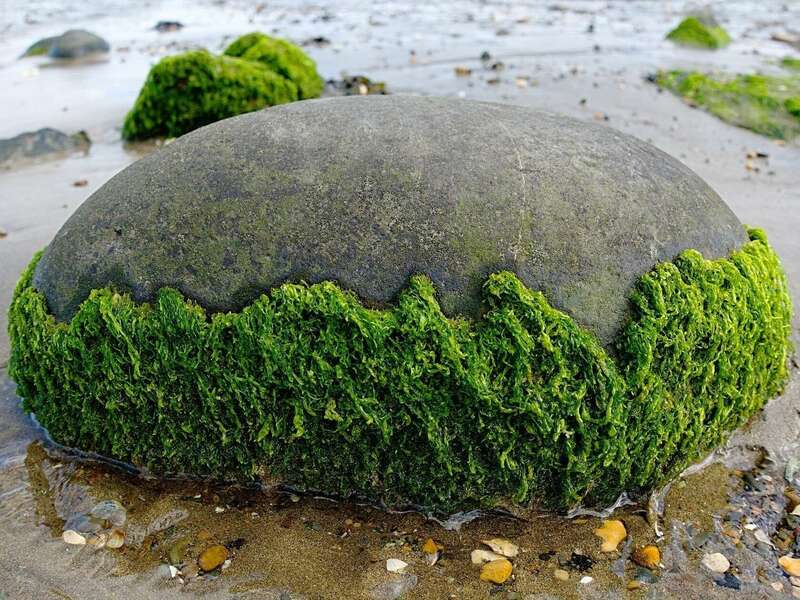 proxy-3a2d2c355f474b6f9bb6a099b7bbe745-og20210824-1009779-66vcj3