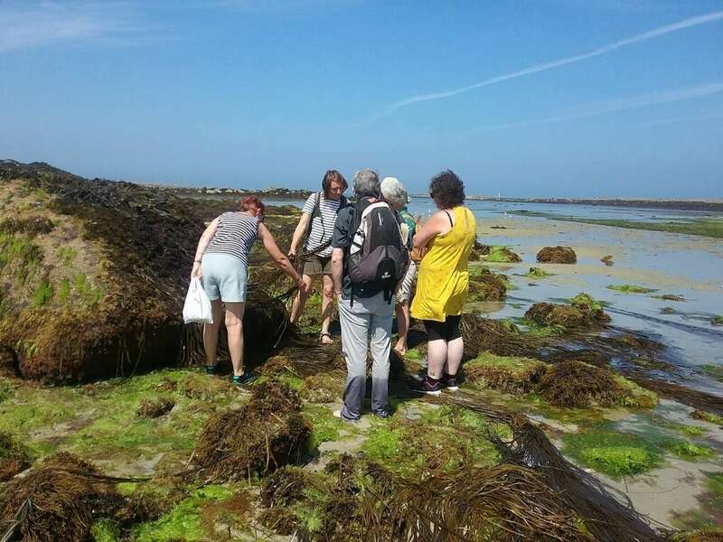 20180713_124336_resized