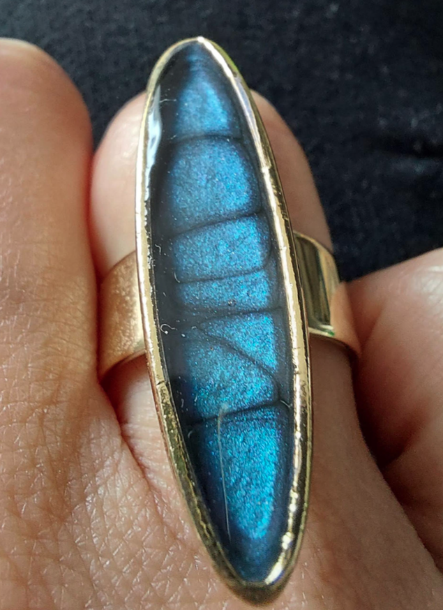 capture_d_ecran_2022-08-05_a_17-19-00