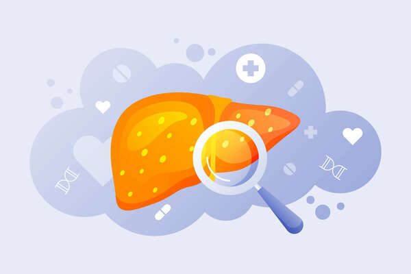 Prendre soin de son foie: pourquoi et comment faire ? Les conseils d'une naturopathe