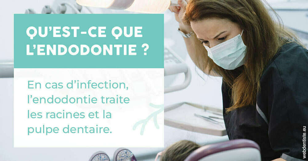 2024 t1 - endodontie