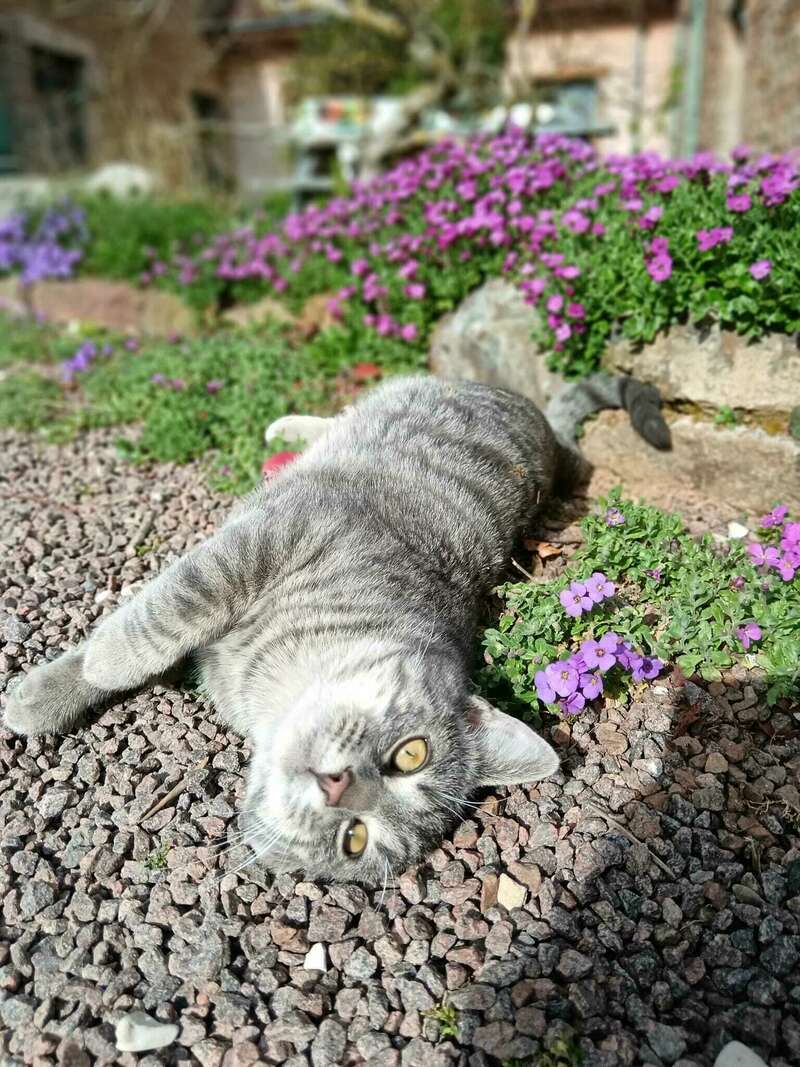 whatsapp_image_2025-05-05_a_15-56-06_b352f4e5