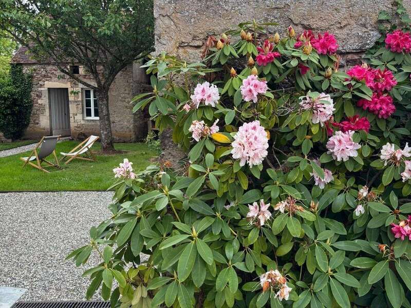 whatsapp_image_2026-04-13_at_15-05-50__1_