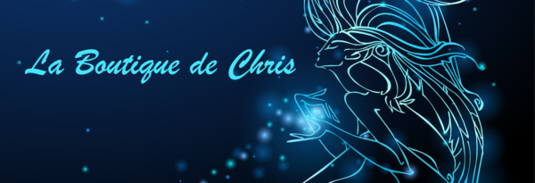 Logo La Boutique De Chris