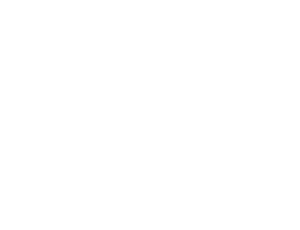 Logo SHIFTLIGHT TRAINING Logo SHIFTLIGHT TRAINING