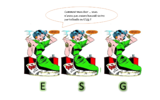 ESG investment: the end of the rhetoric?