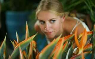 Learning through play: acquiring knowledge while having fun