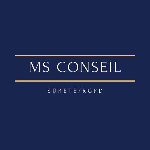 Logo MS CONSEIL