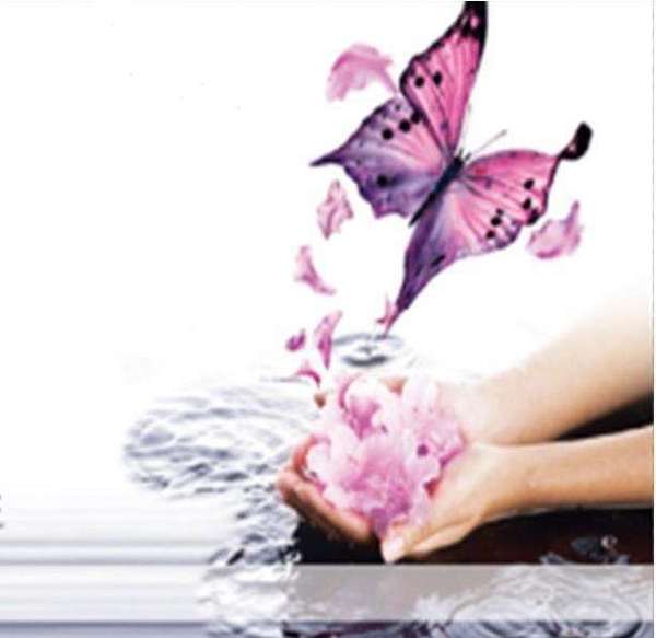 Logo Angélique Macnar Logo Angélique Macnar