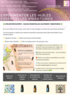 Atelier mensuel de sophrologie relaxation et développement personnel
