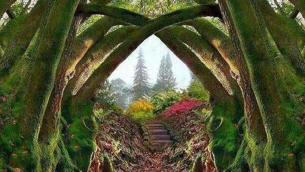 Conseils pour mener l'expérience des flammes jumelles