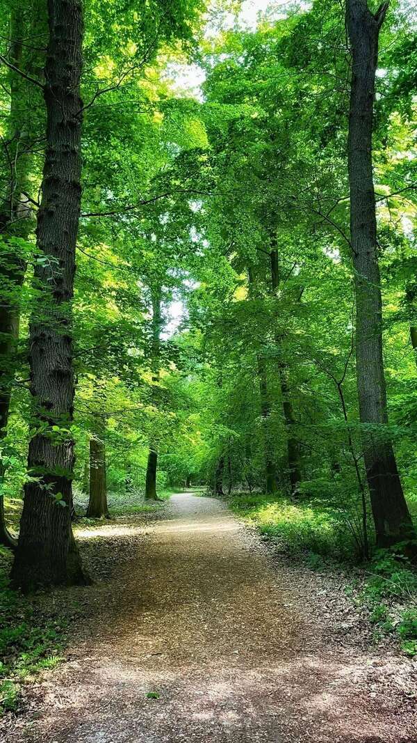 Panser sa douleur ou Guérir ? To Pamper the Pain or to Heal