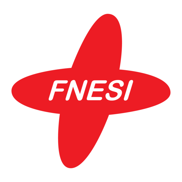 Logo Fédération Nationale des Étudiant·e·s en Sciences Infirmières - FNESI