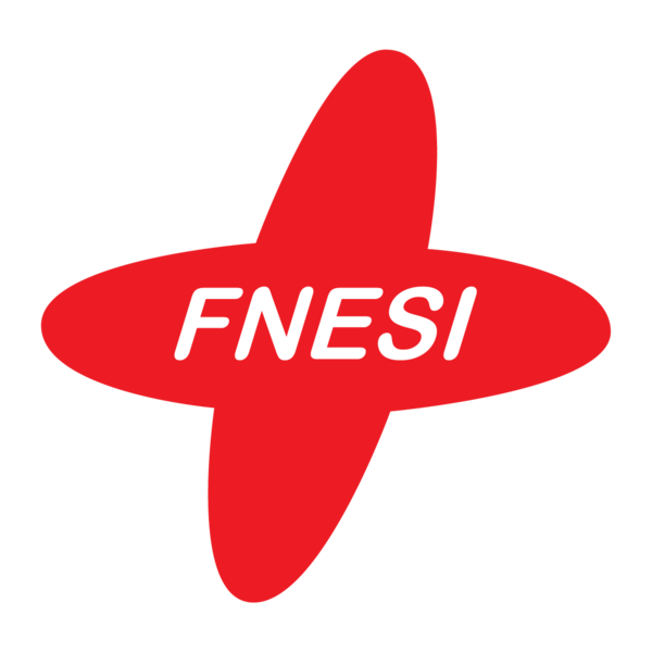 Logo Fédération Nationale des Étudiant·e·s en Sciences Infirmières - FNESI Logo Fédération Nationale des Étudiant·e·s en Sciences Infirmières - FNESI