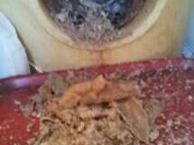 2014-07-01-10-36-45-88db624e02691777fb0f028f82e1886c-215x224-100-crop20221015-1147438-rdgsfw