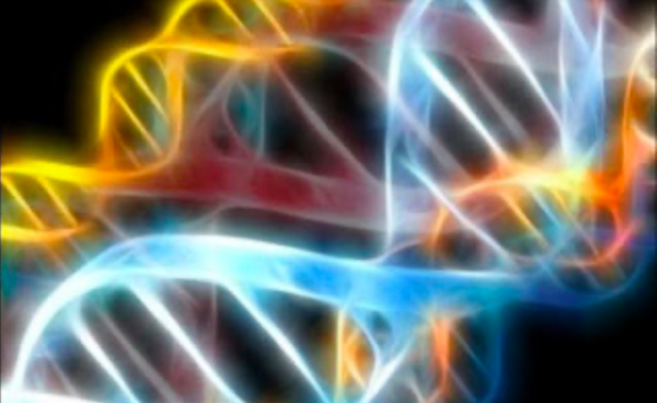 L'ADN serait-il l'explication des mouvements en Constellations ?